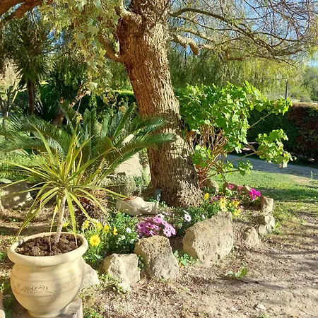 Oasi Del Sole - Segesta *