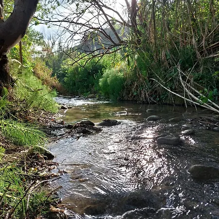Oasi Del Sole - Segesta קלטפימי
