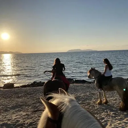 Oasi Del Sole - Segesta קלטפימי